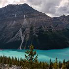 Banff National Park - Peyto Lake