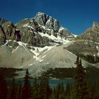 Banff N.P. AB - 1992