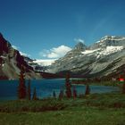 Banff N.P. AB - 1992