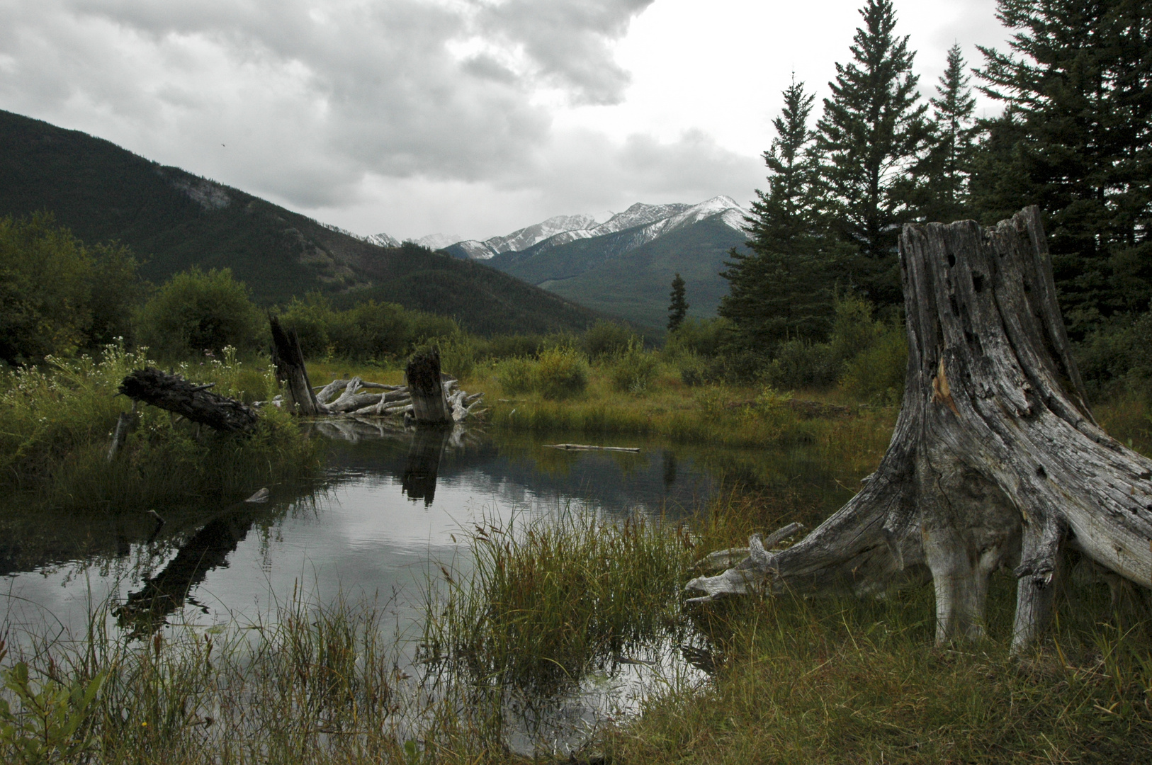 Banff NP