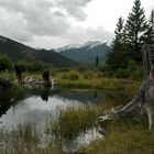 Banff NP