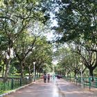 Bangalore, Laal Bagh 2