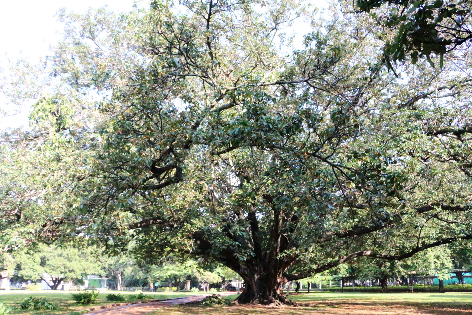 Bangalore, Laal Bagh