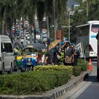 Bangkok - Gesichter in der Menge