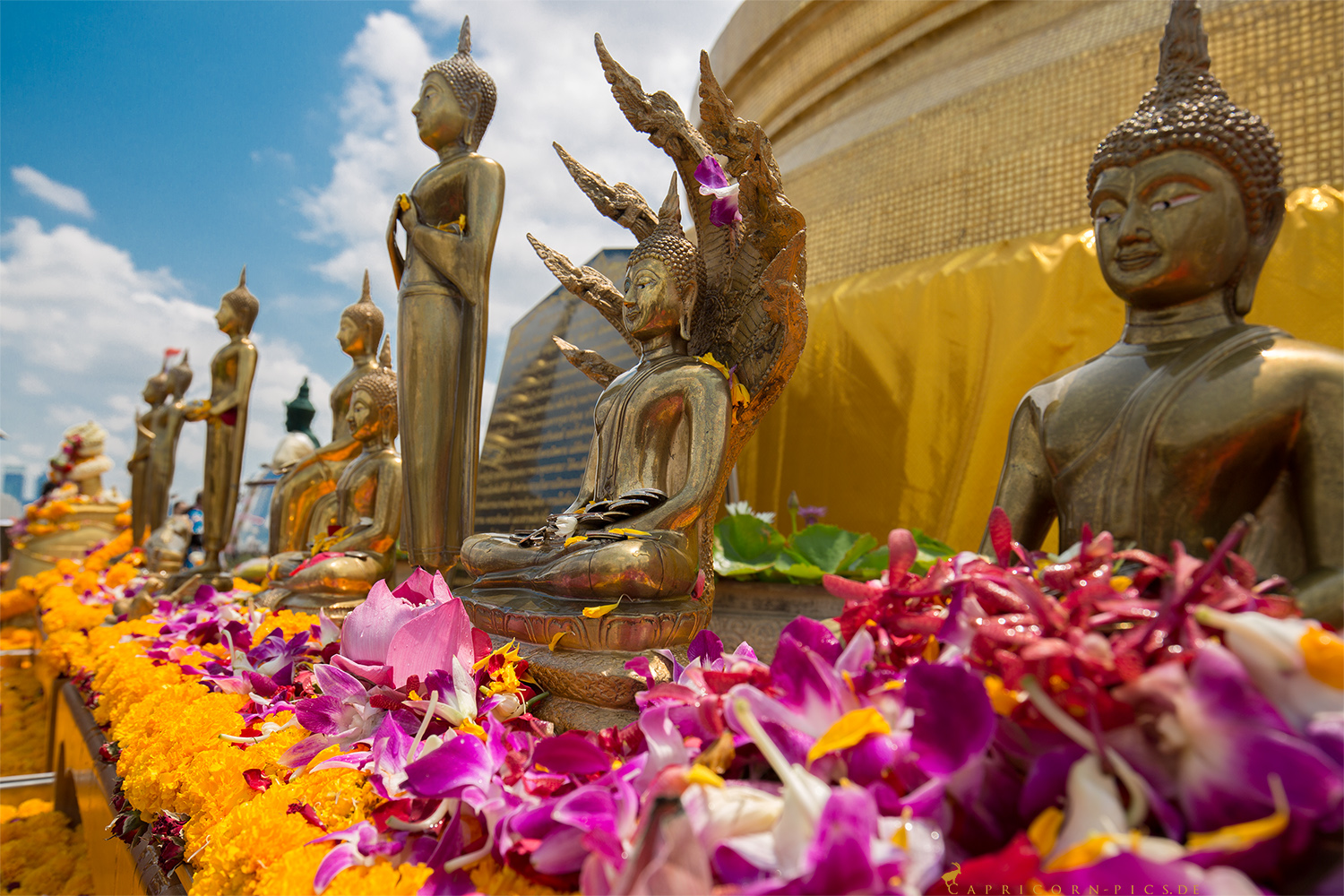 Bangkok - Wat Saket Ratcha Wora Maha Wihan