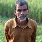 Bangladeshi People 17