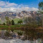 Bangser Ried Spiegel zum heutigen Spiegeltag