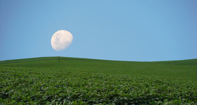 Banho de Lua