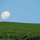 Banho de Lua