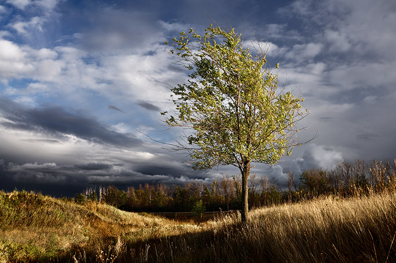 Banishing autumn clouds