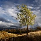 Banishing autumn clouds