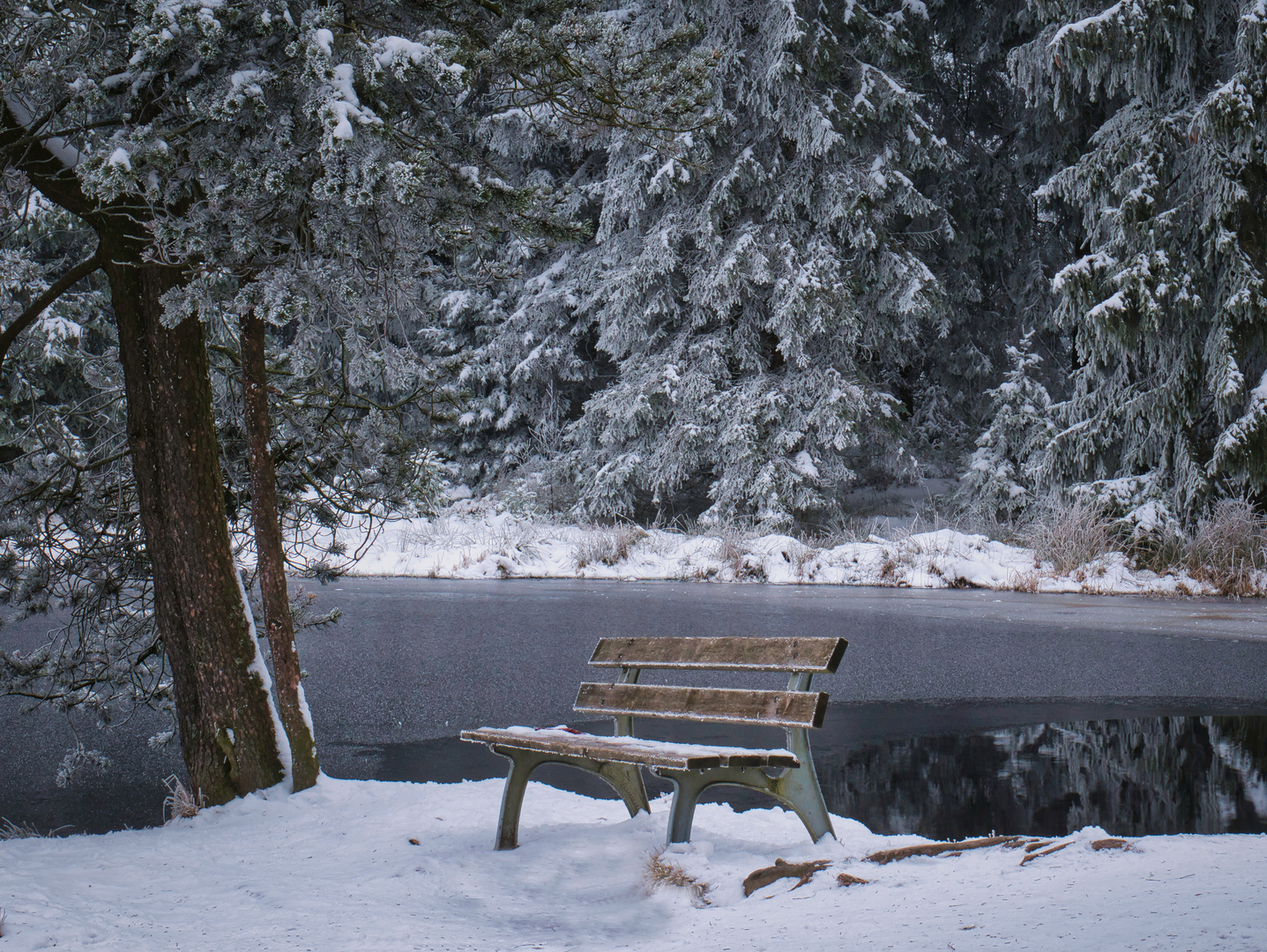 Bank am Fichtelsee