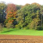 Bank am herbstlichen Waldrand