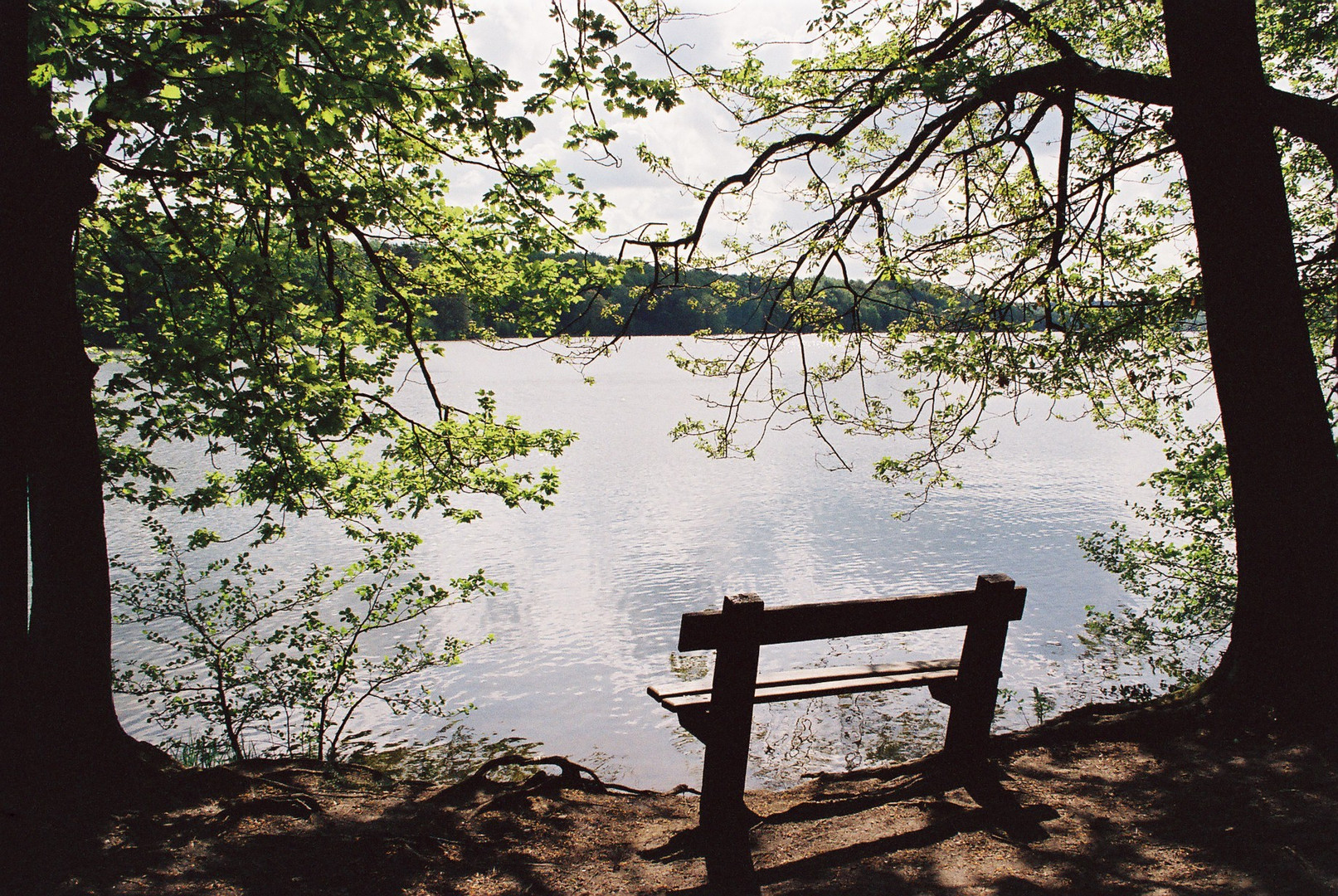 Bank am Küchensee