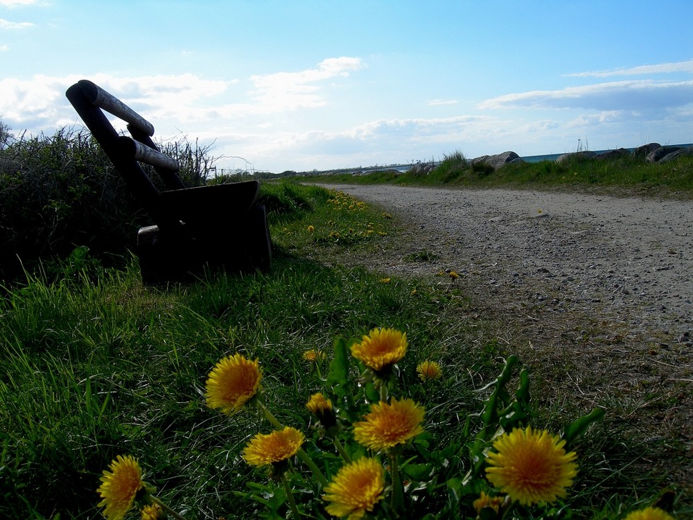 Bank am Meer