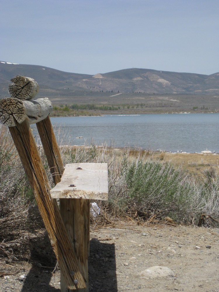 Bank am Mono Lake