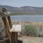 Bank am Mono Lake