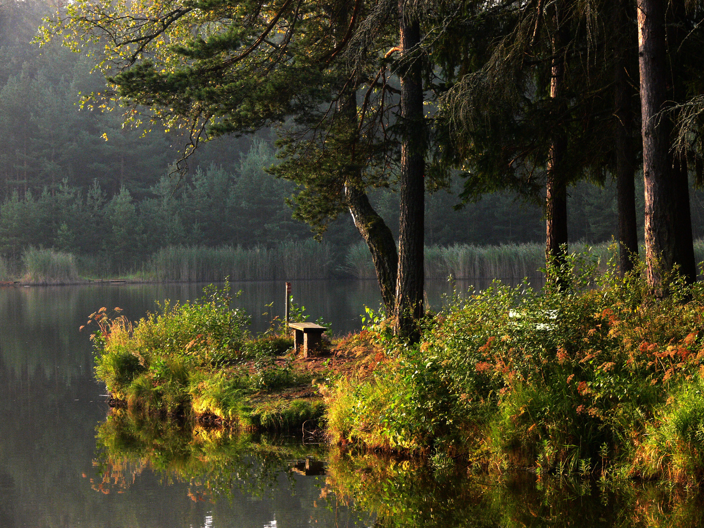 Bank Am See Foto Bild Landschaft Banke In Der Landschaft Zaune Banke Wegweiser Co Bilder Auf Fotocommunity