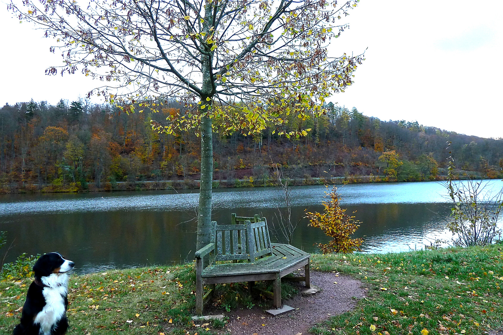 Bank am See