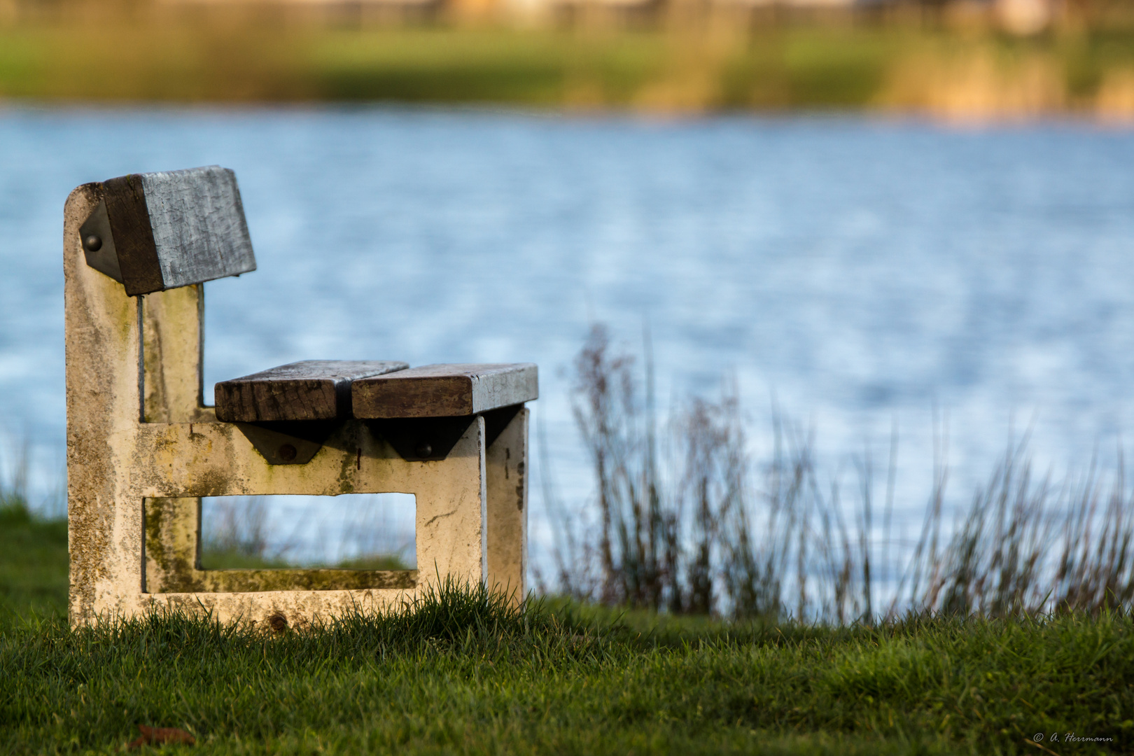 Bank am See / Bench by the lake