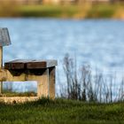 Bank am See / Bench by the lake