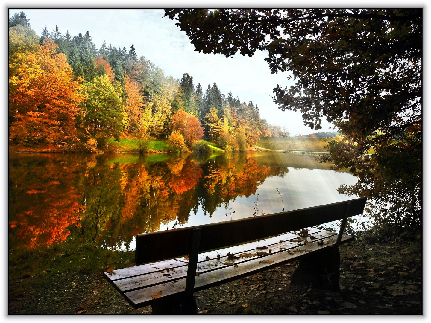 Bank Am See Foto Bild Wald Wasser Natur Bilder Auf Fotocommunity