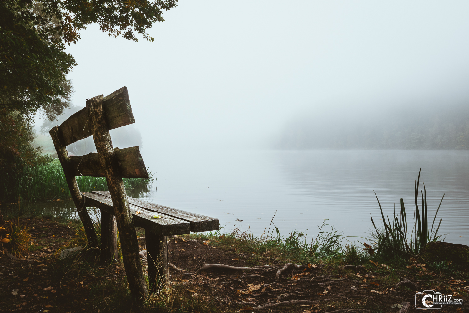 Bank am See im Nebel