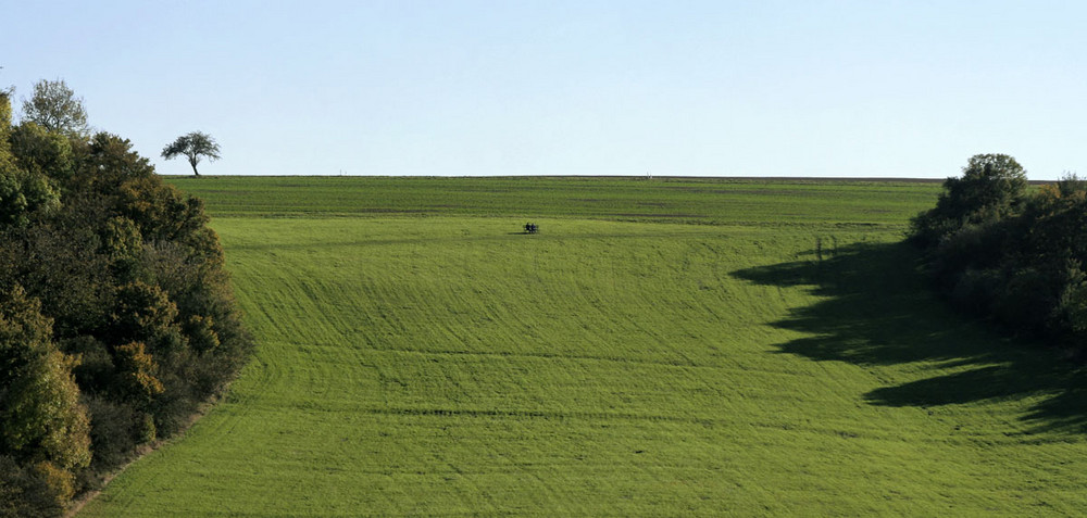 Bank auf Wiese