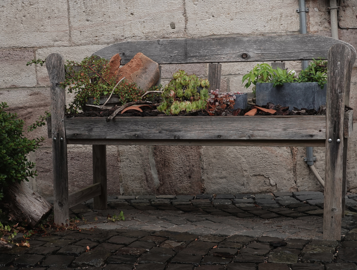 Bank, Bänke, benches, bench, seat, banc