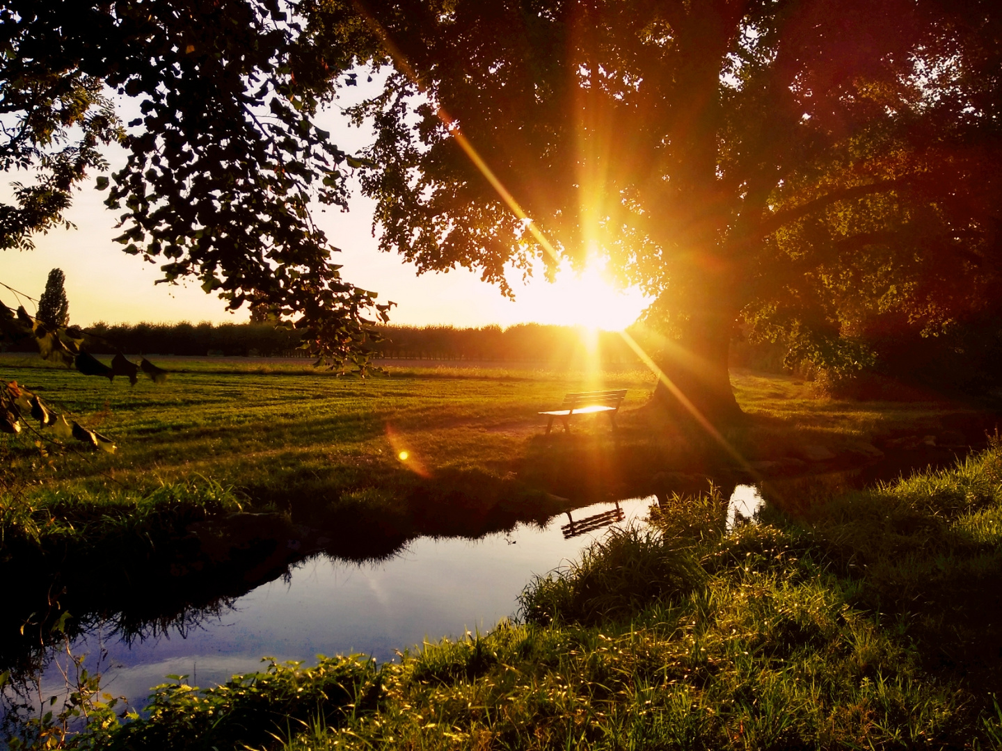 Bank bei Sonnenuntergang