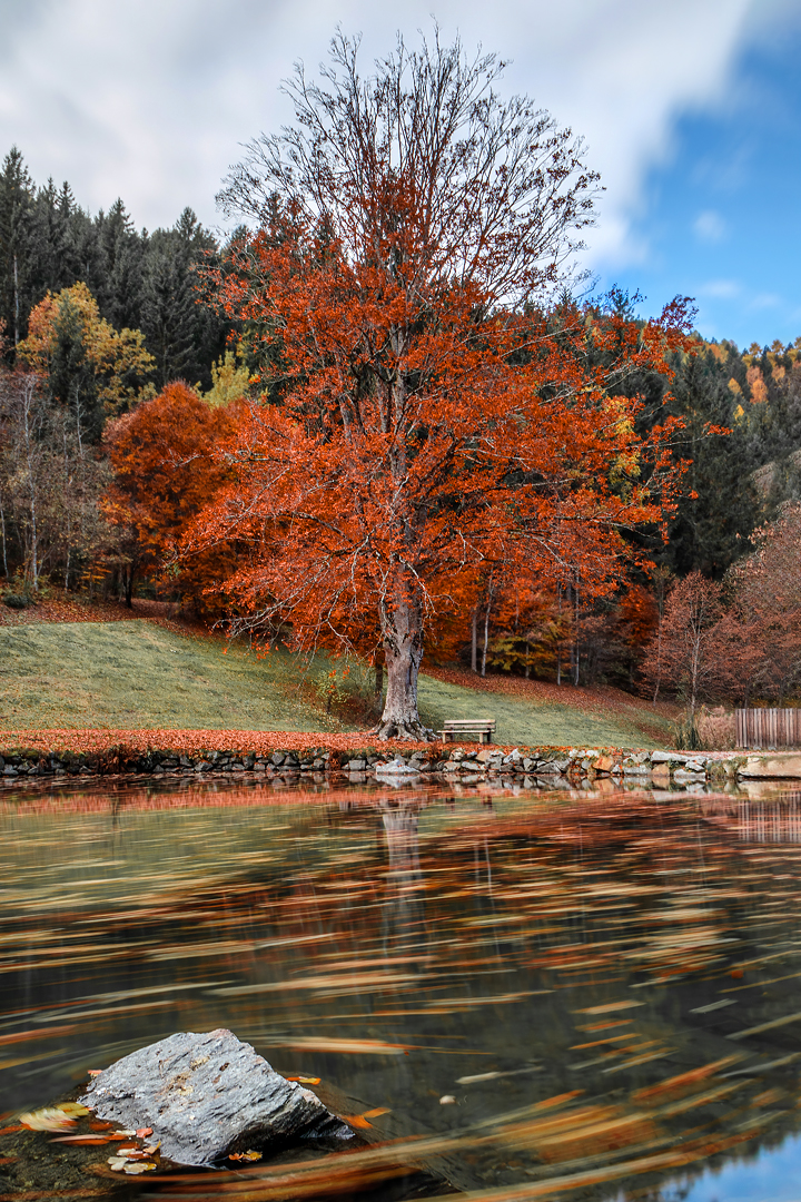 Bank beim Schlossteich