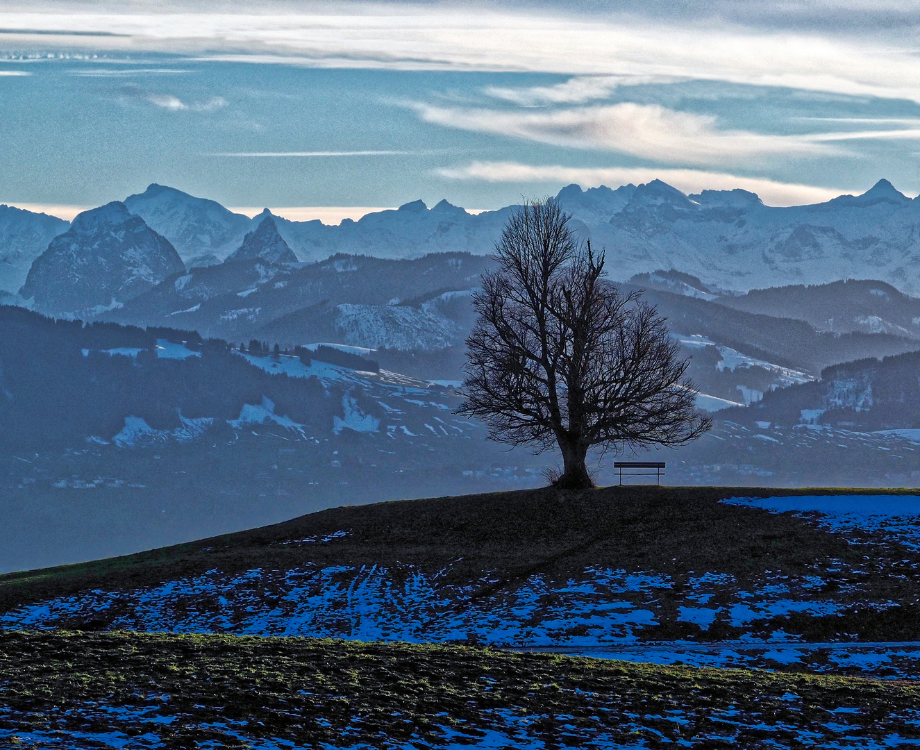 "BANK DES HIMMLISCHEN FRIEDENS...."