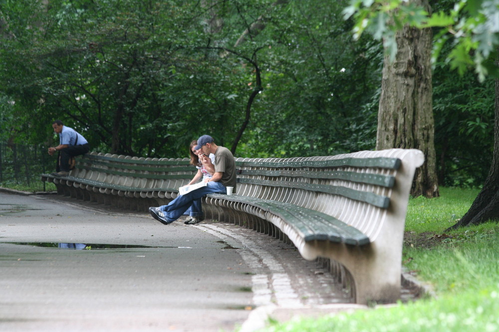 Bank im Central Park, New York