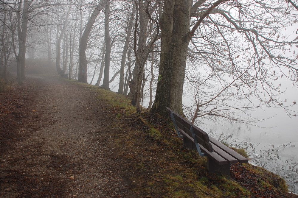 Bank im Dezembernebel