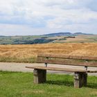 Bank im Einklang mit der Natur