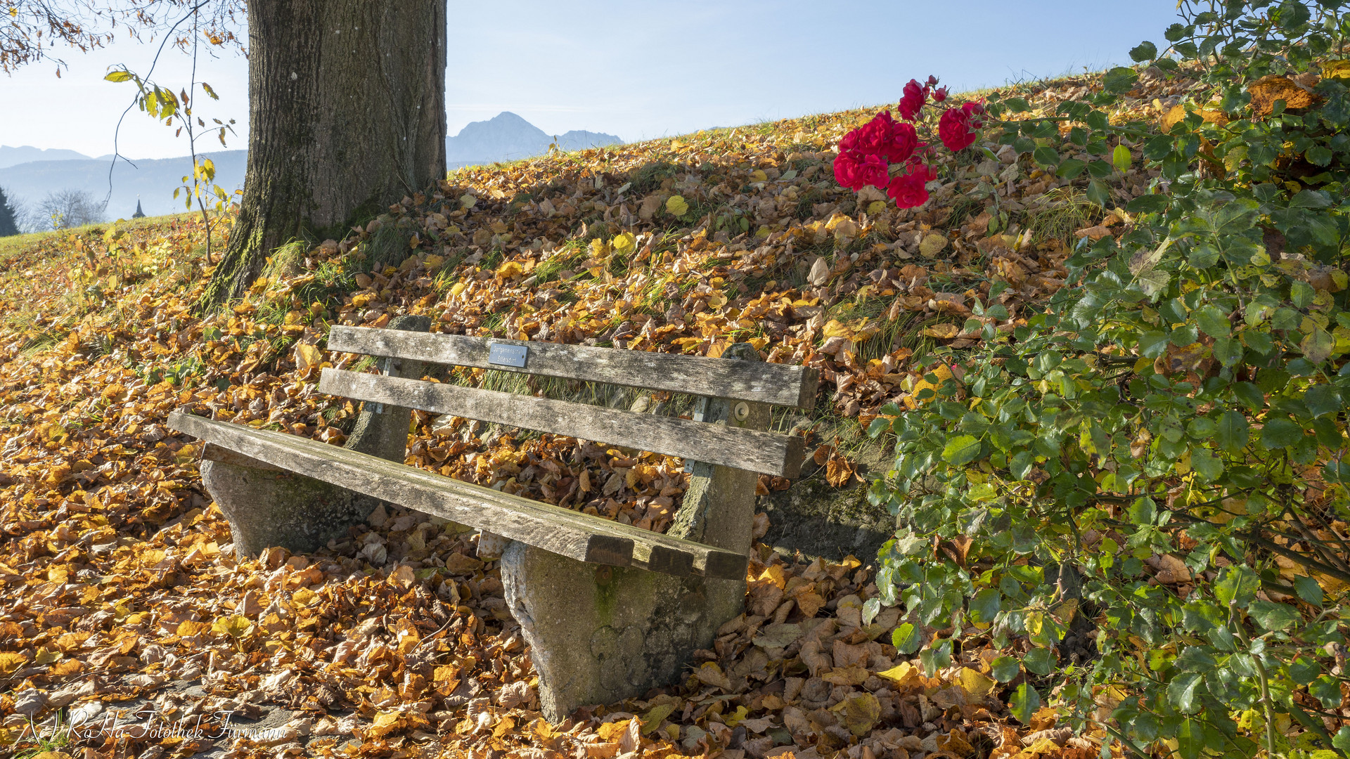 Bank im farbenfrohen Herbst