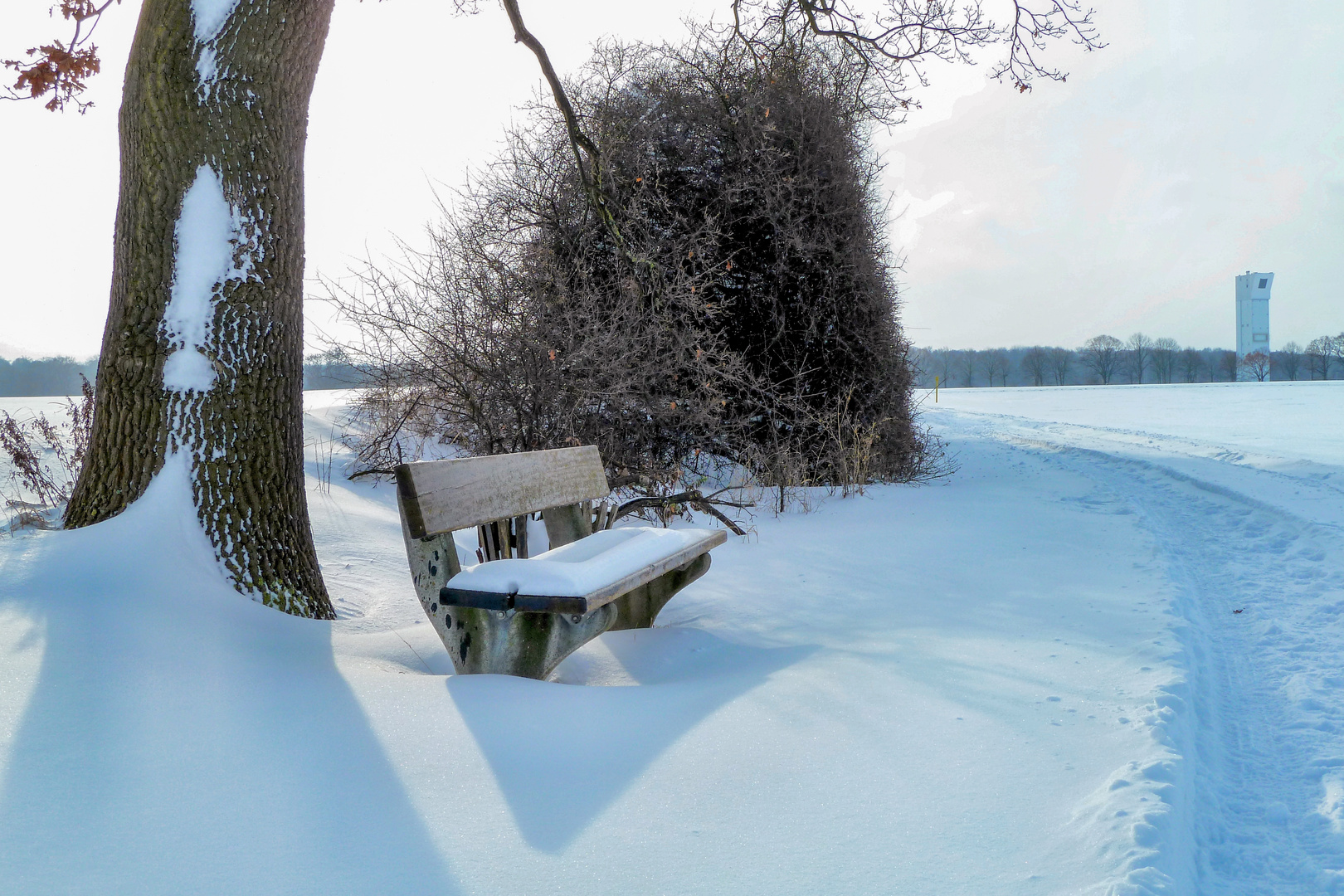 Bank im Feld