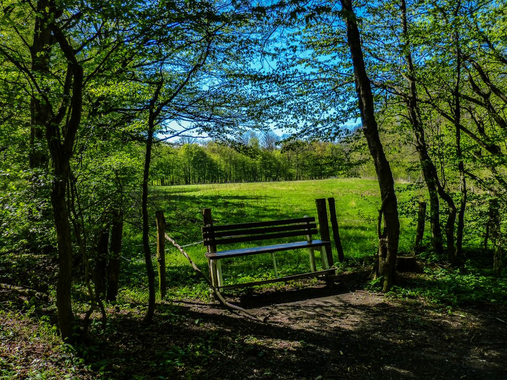 Bank im Frühling