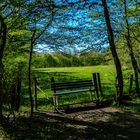 Bank im Frühling