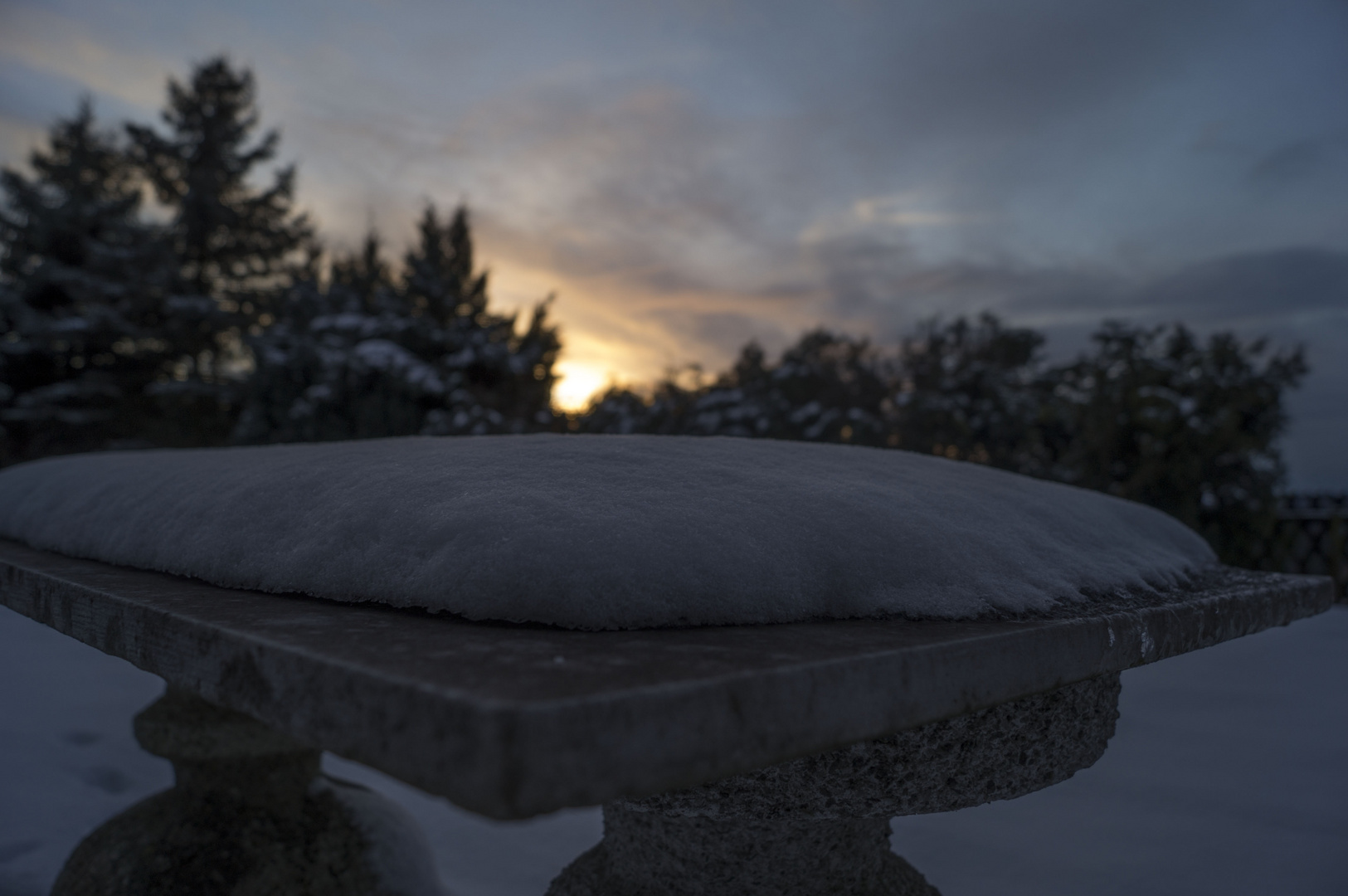 Bank im Garten einer Bekannten (in der soganannten Blauen Stunde abends)