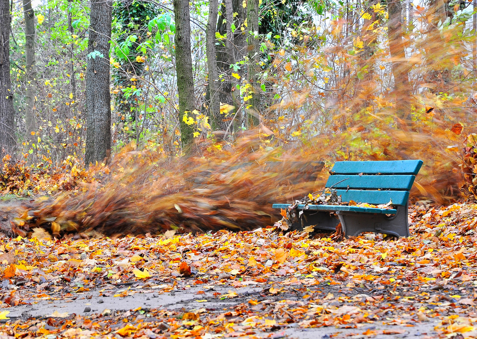 Bank im Herbst