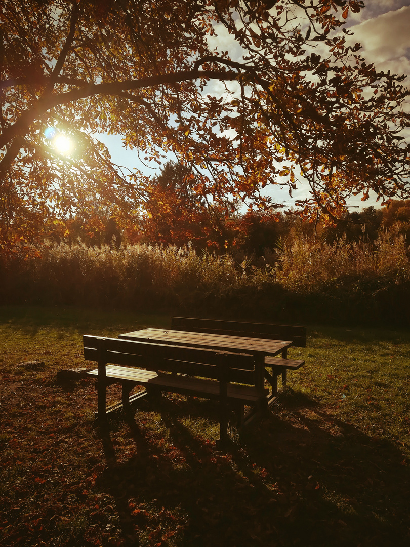 Bank im Herbst 