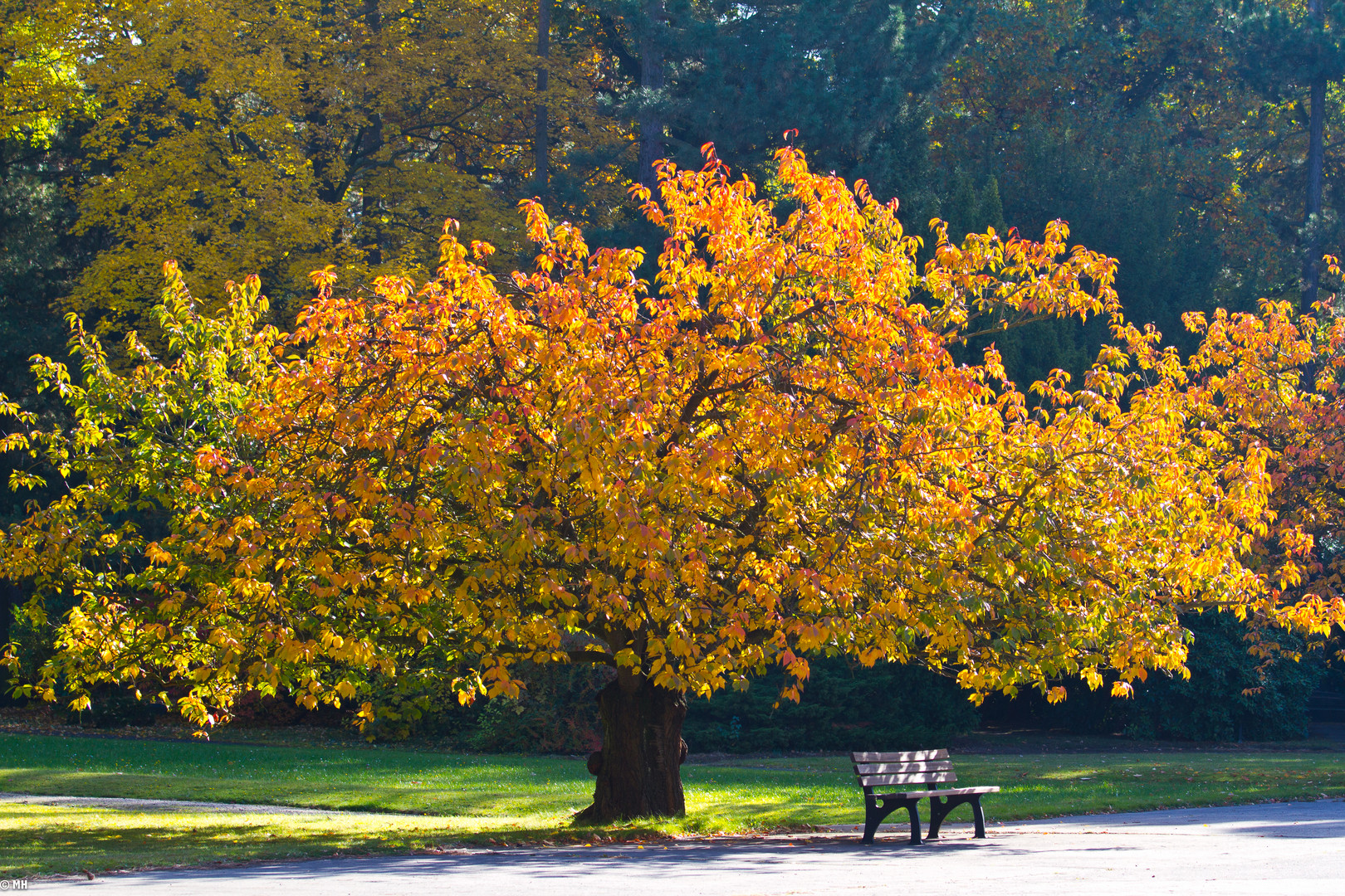 Bank im Herbst