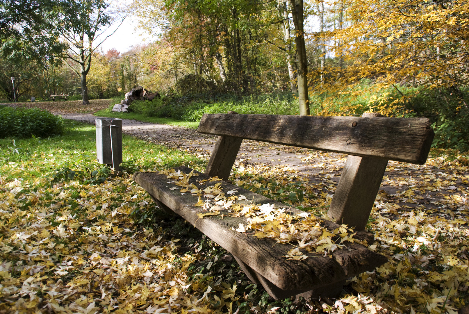 Bank im Herbst