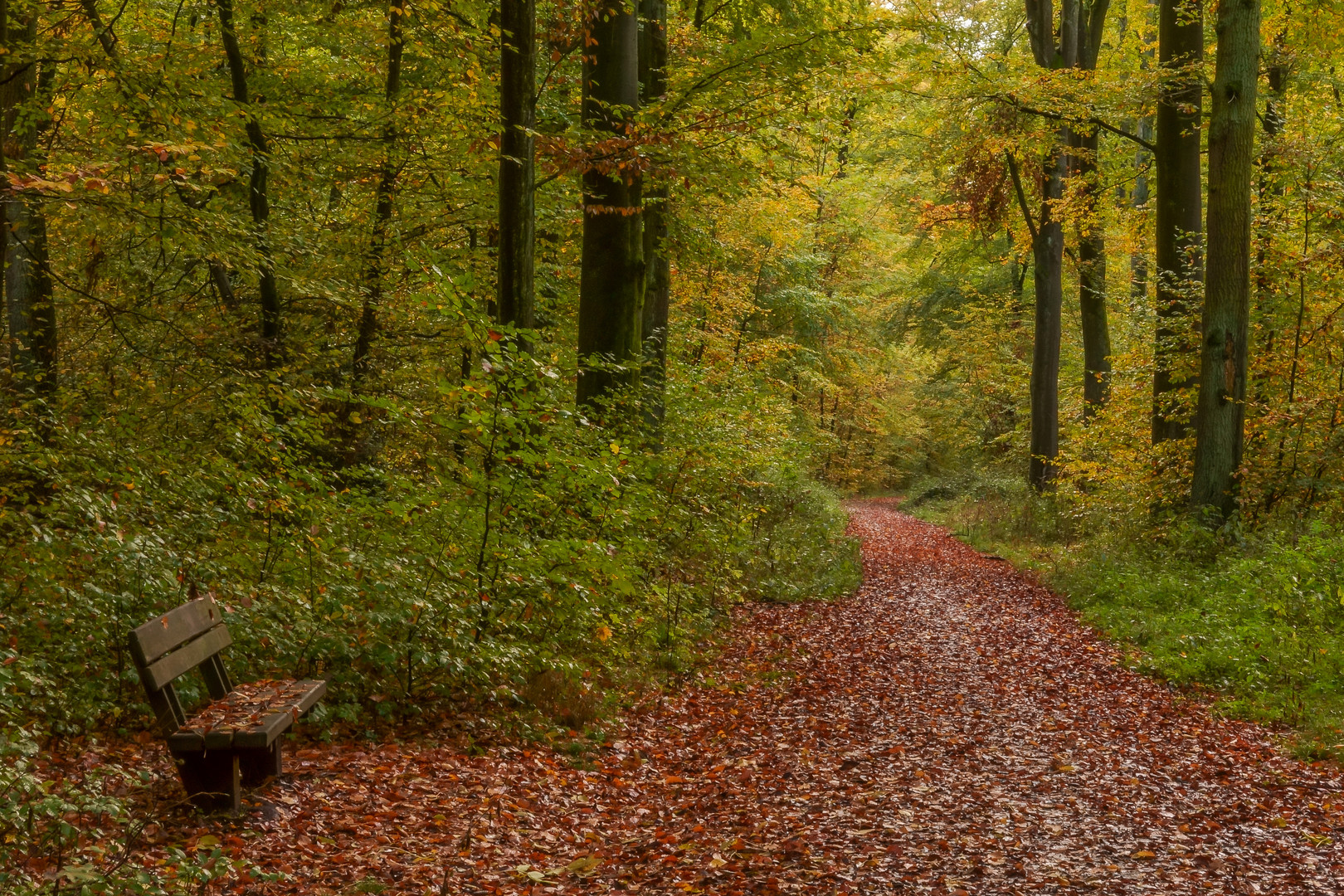  Bank im Herbst