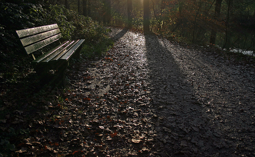 Bank im Herbst