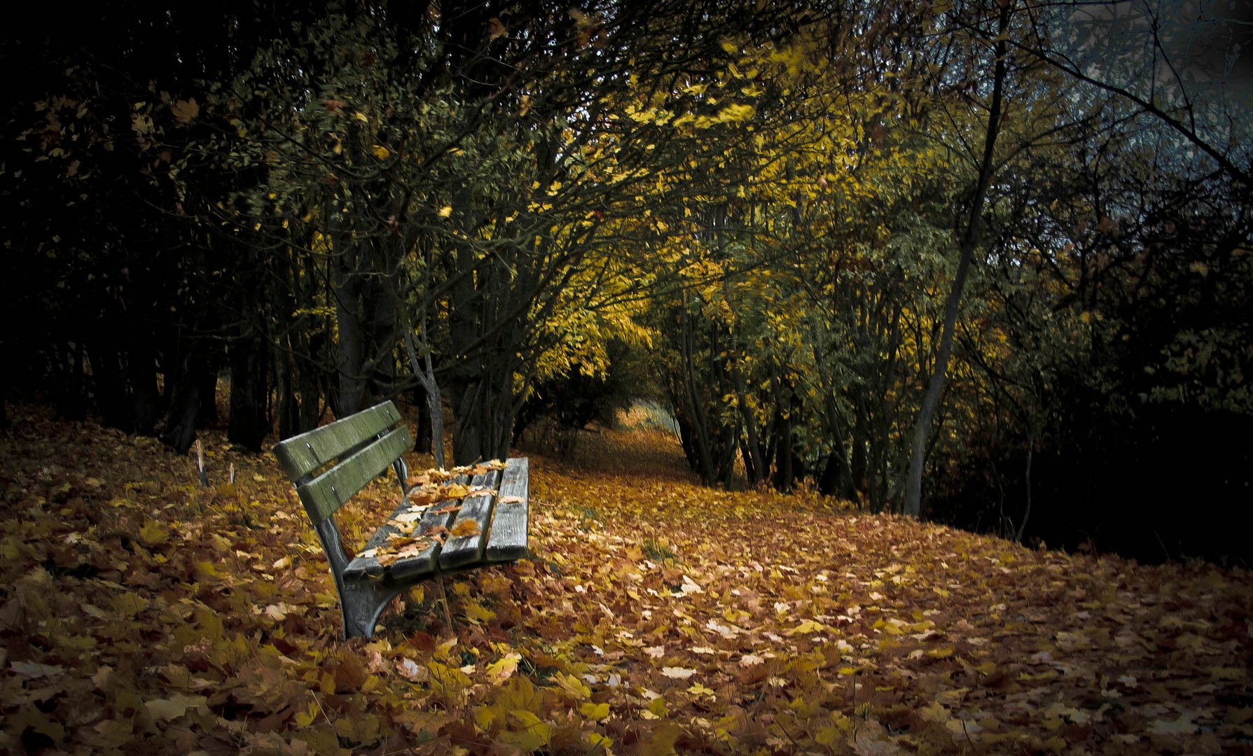 Bank im Herbstwald