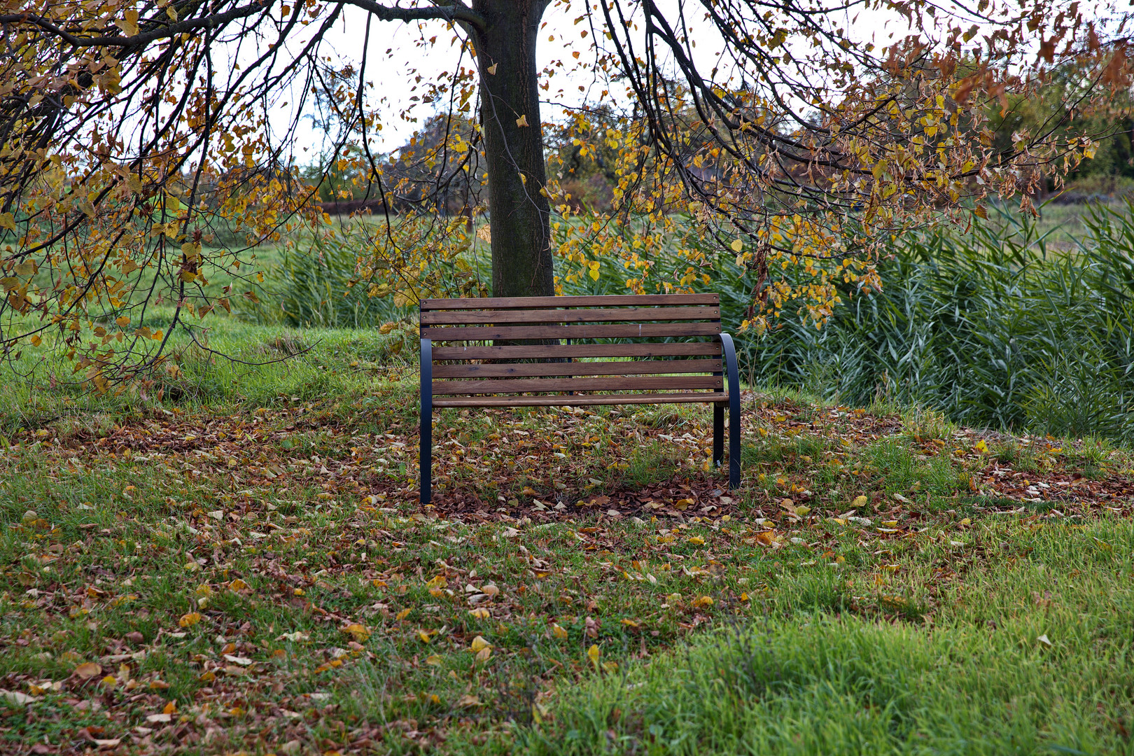 Bank im Klostergarten Eisleben-Helfta