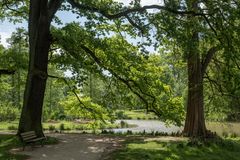 Bank im Kurpark von Bad Homburg