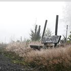 Bank im Nebel 1